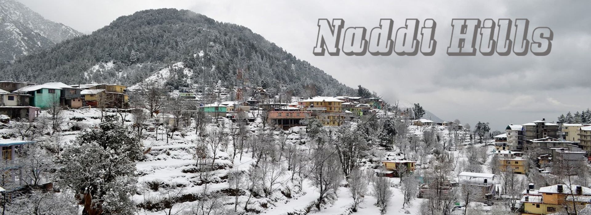 Experience Unforgettable Journeys & Exceptional Hospitality (11)