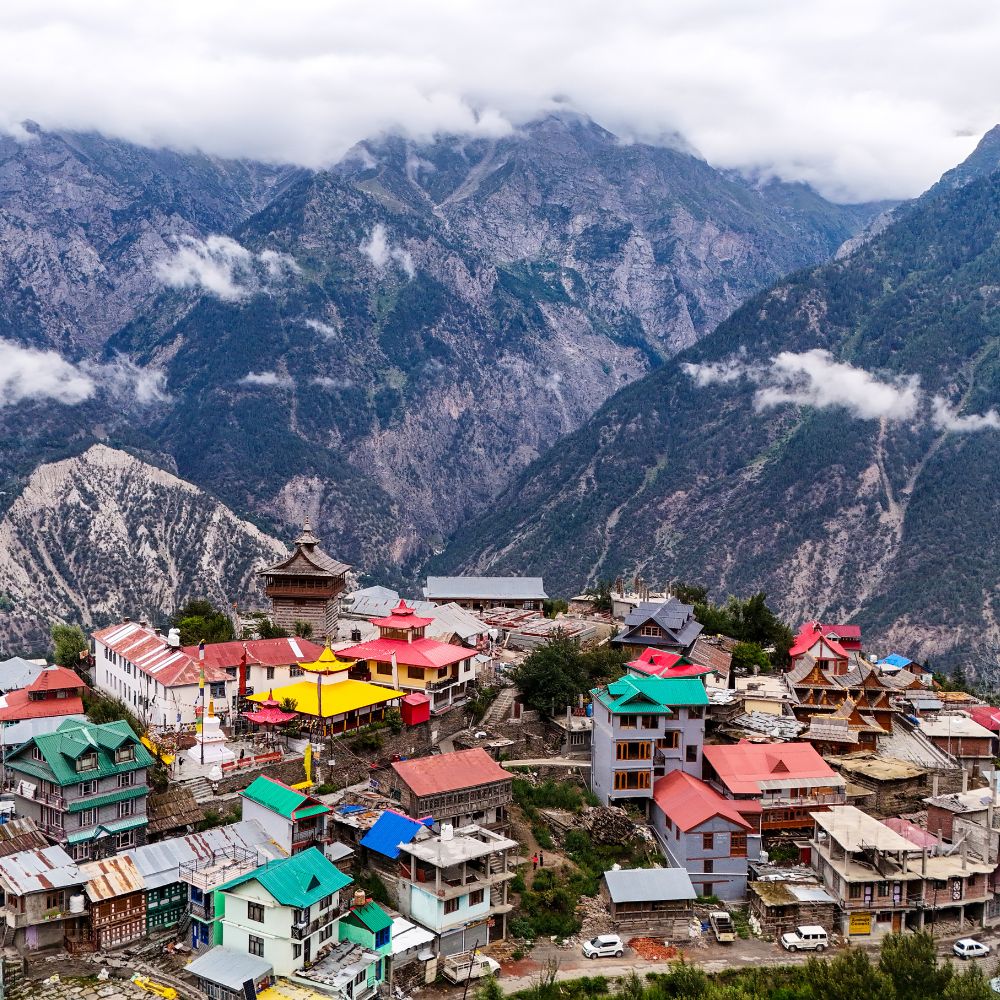 Untitled design - 2026-01-21T111606.704