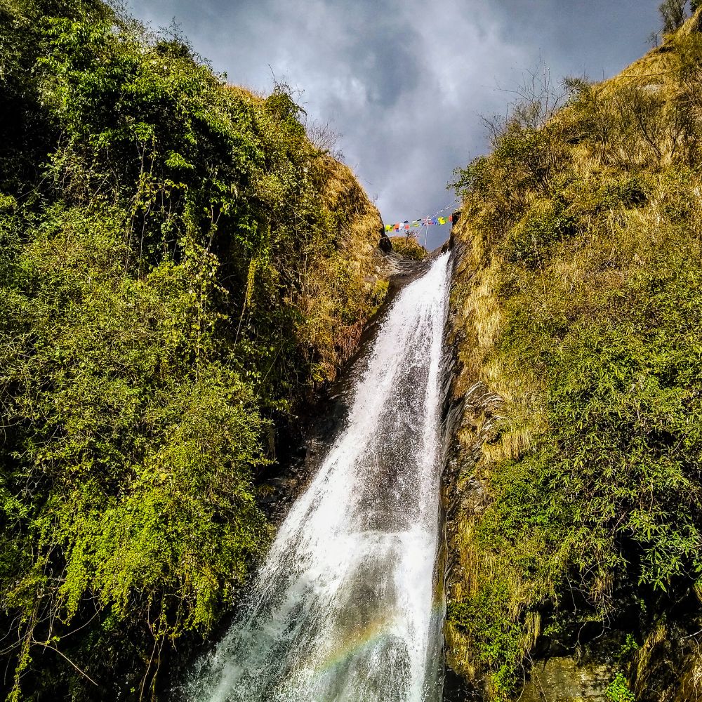 Untitled design - 2026-01-21T112745.928