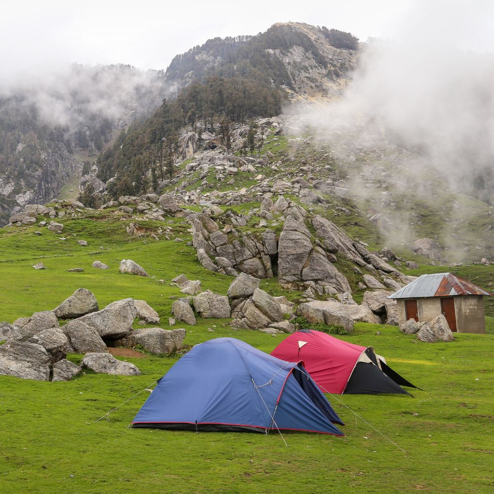 Untitled design - 2026-01-21T112752.051