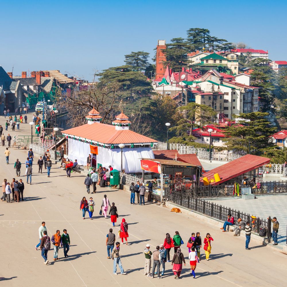 Untitled design - 2026-01-21T113158.275