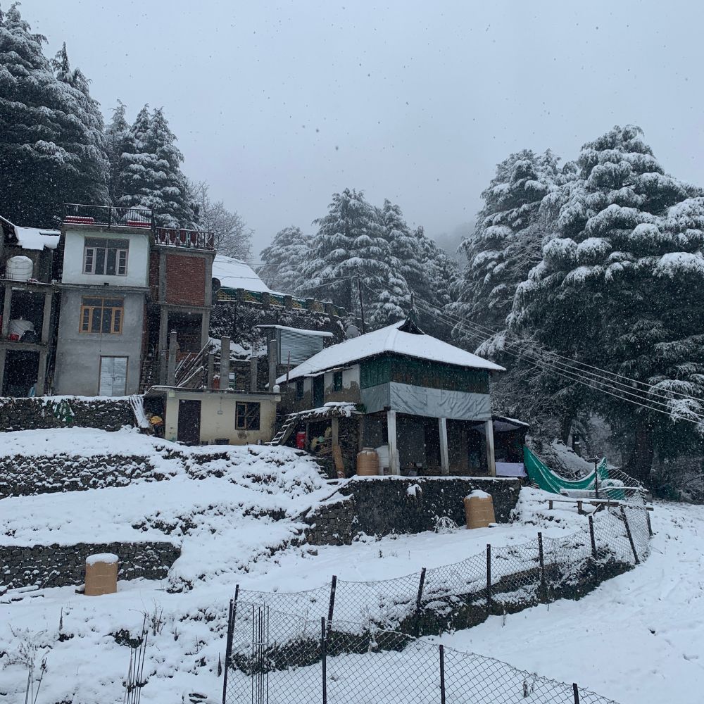 Untitled design - 2026-01-21T113451.513