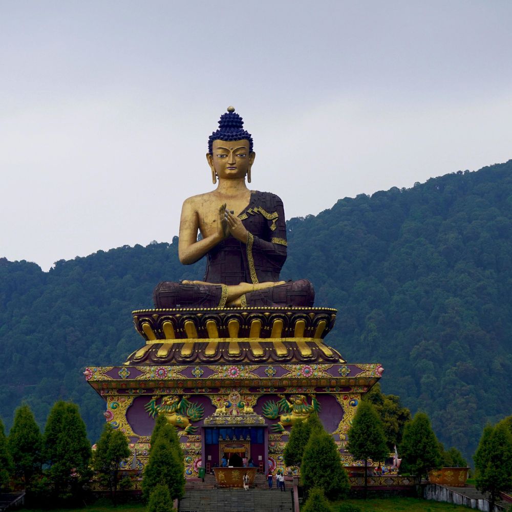 Untitled design - 2026-01-21T113507.264